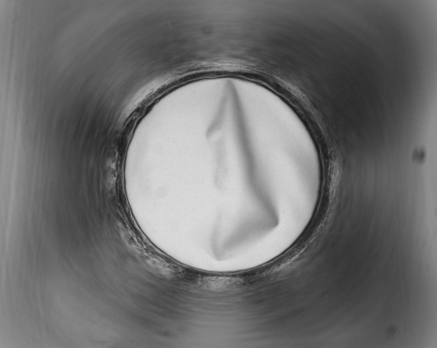 X0000115011163200911231220