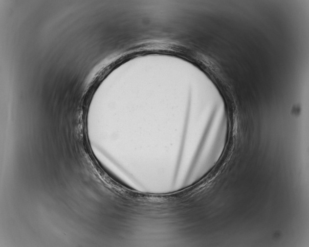 X0000115011164200911231220