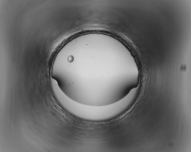 X0000115011167200911231220
