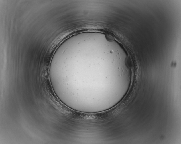 X0000115011169200911231220