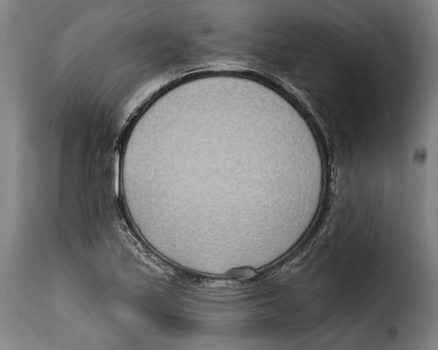 X0000115011171200911231220