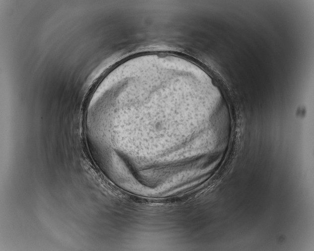 X0000115011173200911231220