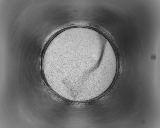 X0000115011174200911231220