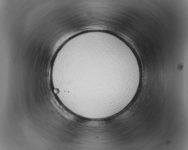X0000115011179200911231220