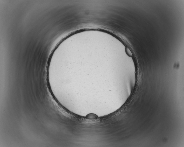 X0000115011183200911231220