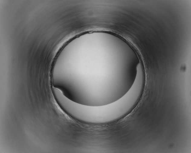 X0000115011189200911231220