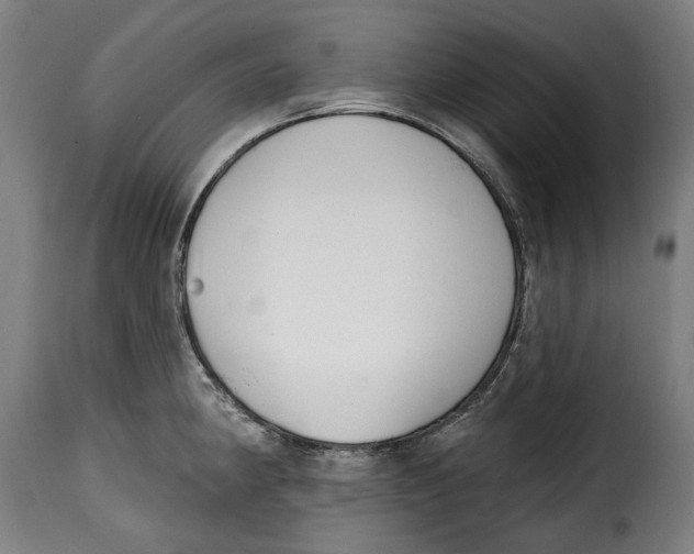 X0000115011190200911231220