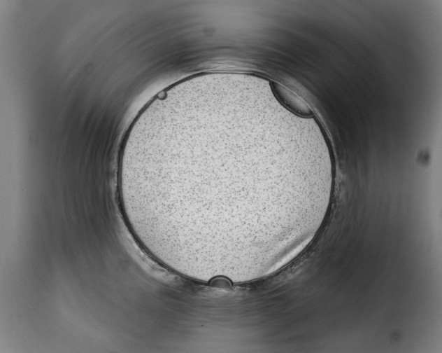 X0000115011195200911231220