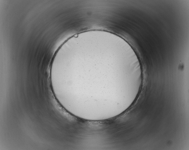 X0000115011198200911231220