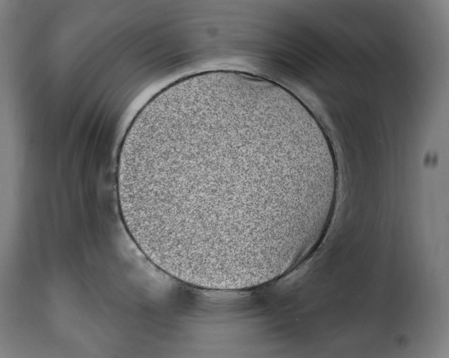 X0000115011200200911231220