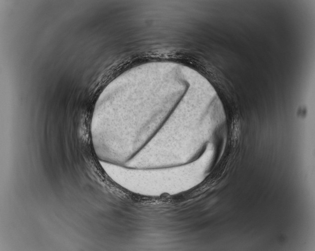 X0000115011202200911231219
