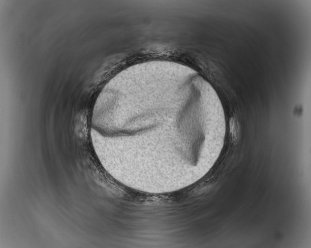X0000115011203200911231219