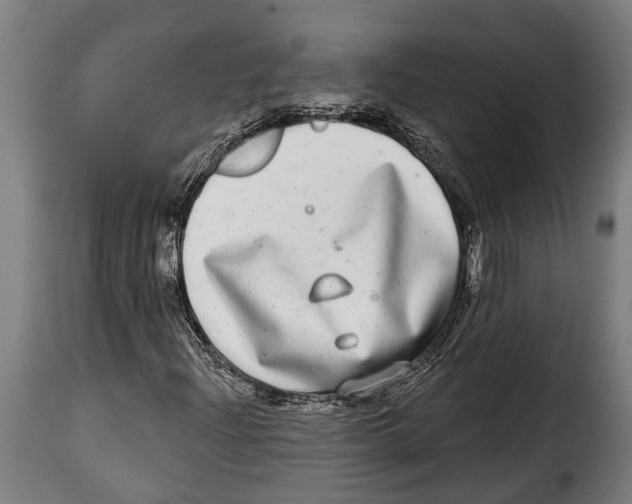 X0000115011204200911231219