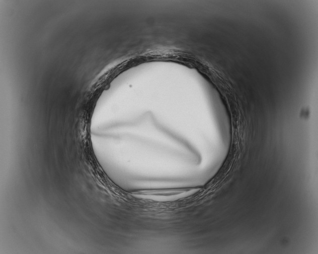 X0000115011206200911231219
