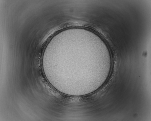 X0000115011211200911231219