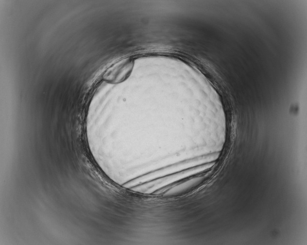 X0000115011212200911231219