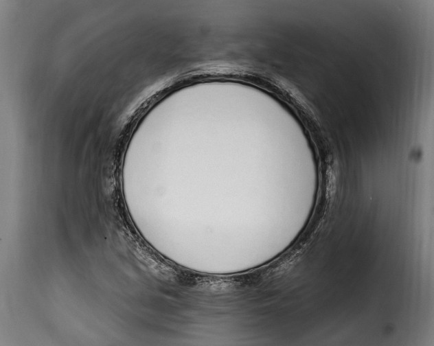 X0000115011213200911231219
