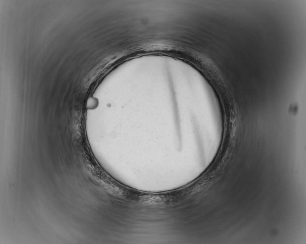 X0000115011217200911231219