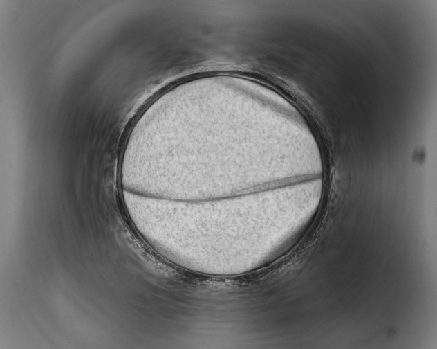 X0000115011220200911231219