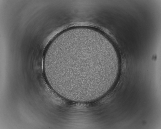 X0000115011221200911231219