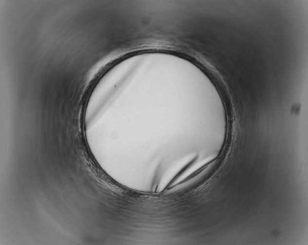 X0000115011222200911231219