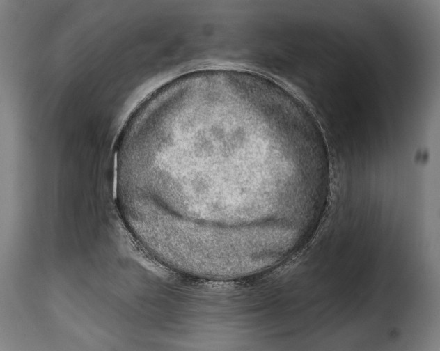X0000115011223200911231219