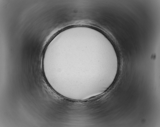 X0000115011224200911231219