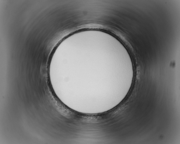 X0000115011229200911231219