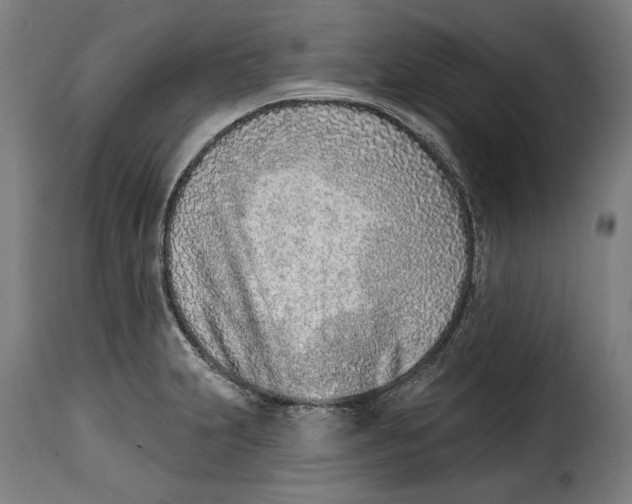 X0000115011231200911231219