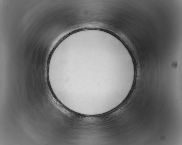 X0000115011232200911231219