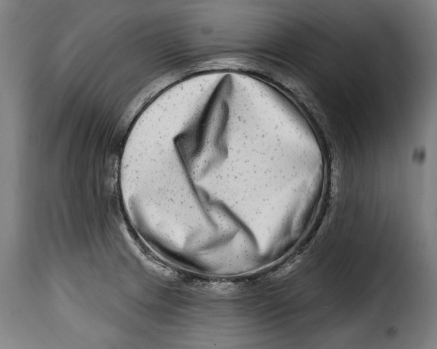 X0000115011233200911231219