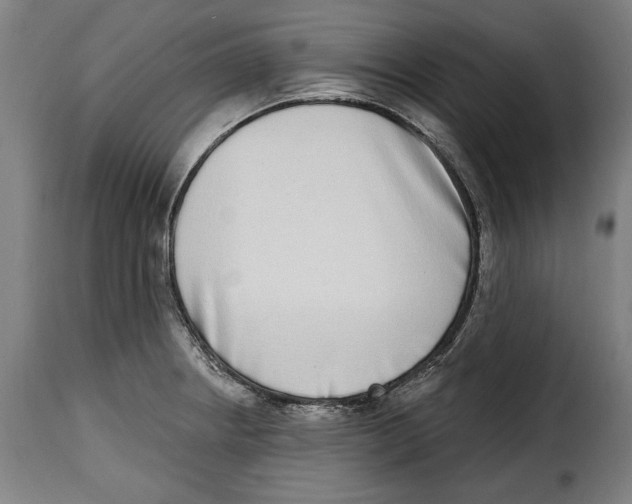 X0000115011234200911231219