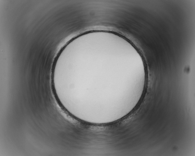 X0000115011237200911231220