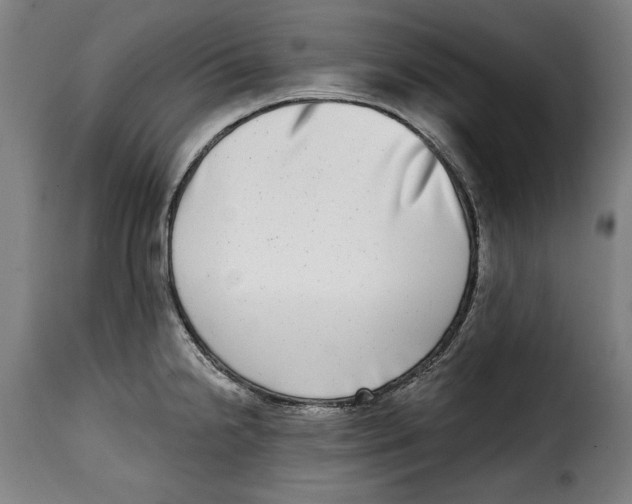 X0000115011238200911231220