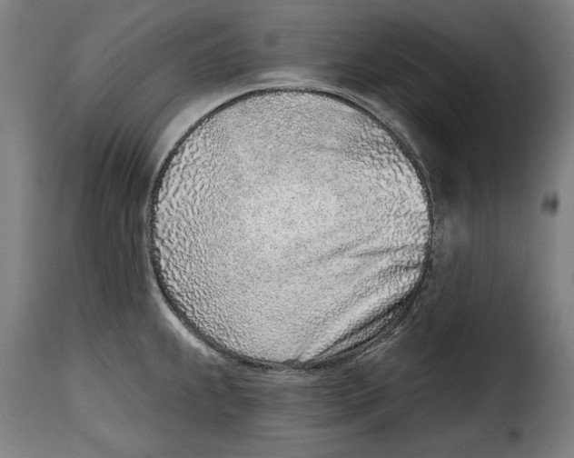 X0000115011239200911231220