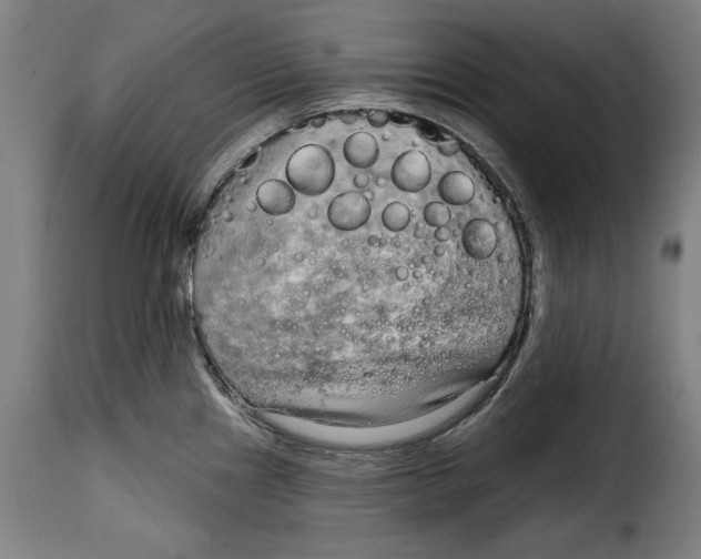 X0000115011241200911231220