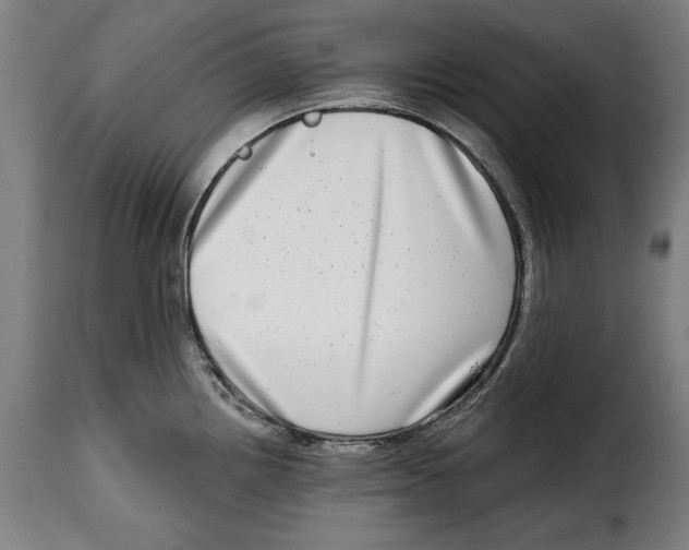 X0000115011242200911231220