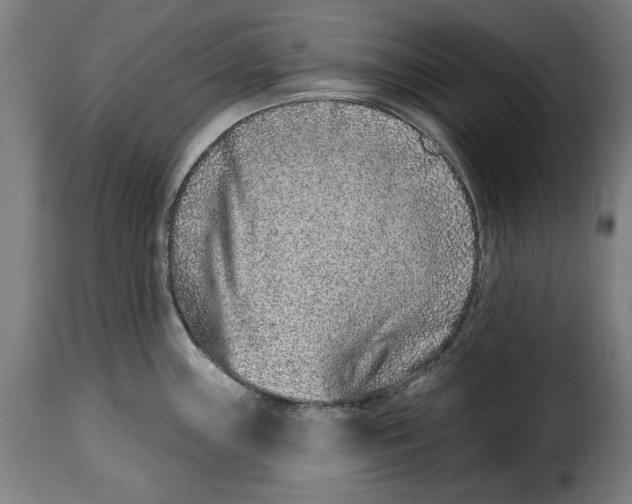 X0000115011243200911231220