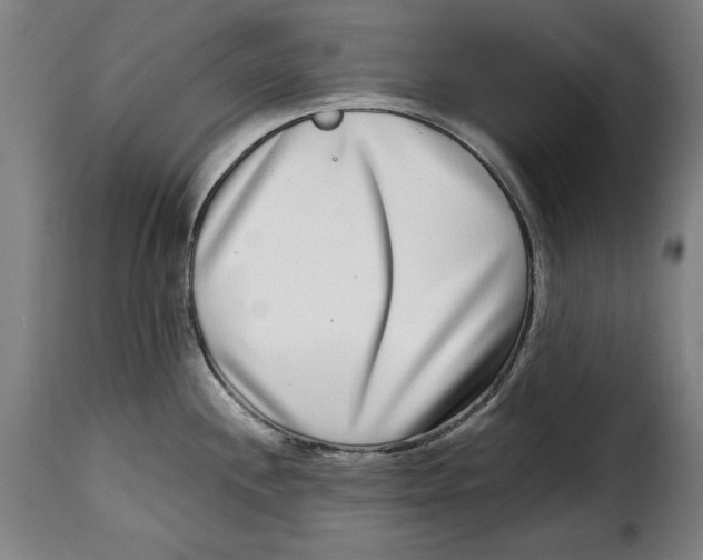 X0000115011244200911231220
