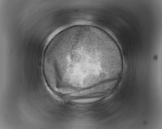 X0000115011245200911231220