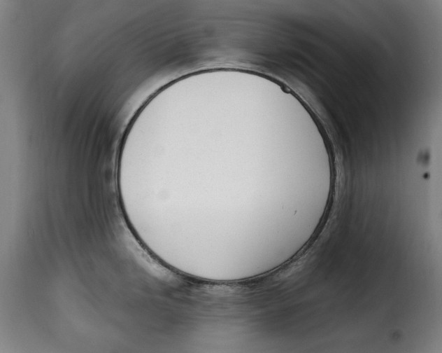 X0000115011246200911231220