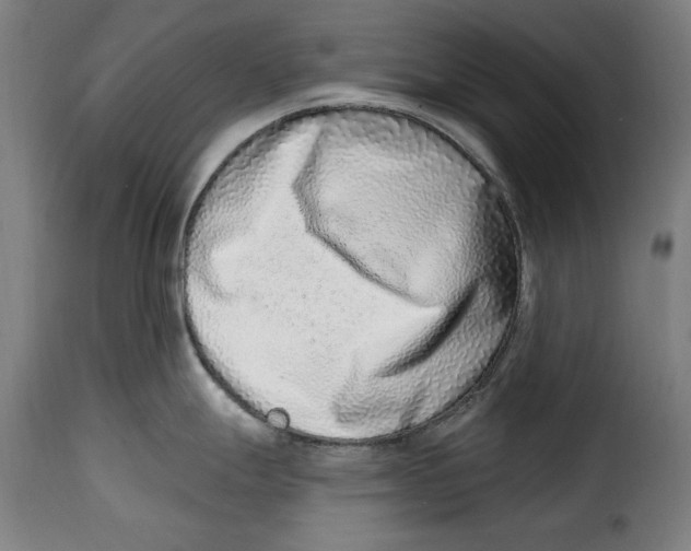 X0000115011247200911231220
