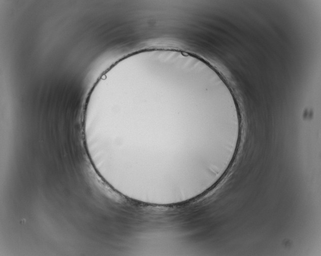 X0000115011248200911231220