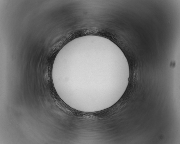 X0000115011250200911231219