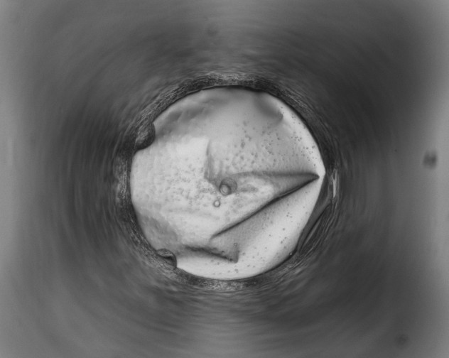 X0000115011251200911231219