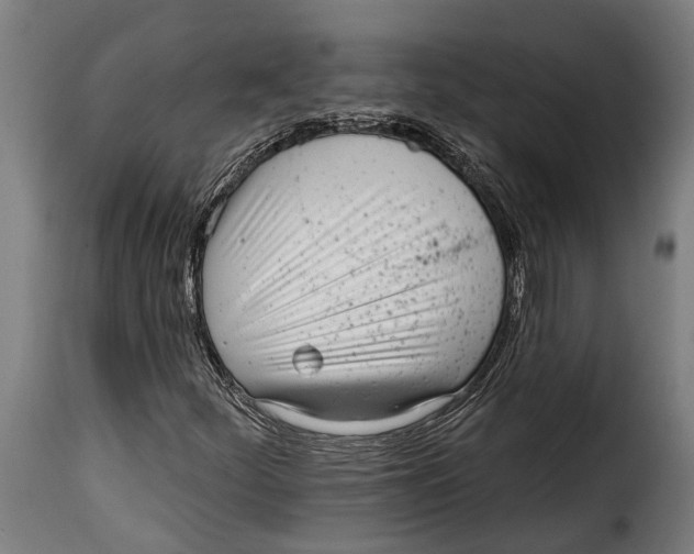 X0000115011252200911231219