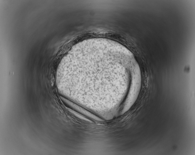 X0000115011253200911231219