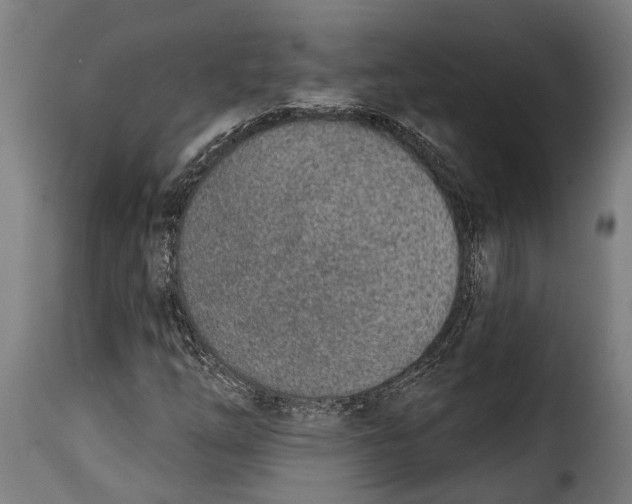 X0000115011254200911231219