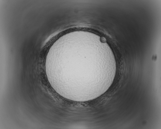 X0000115011255200911231219