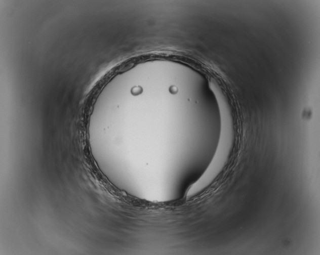 X0000115011256200911231219